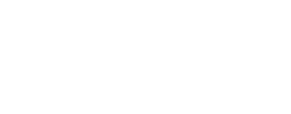 Zig